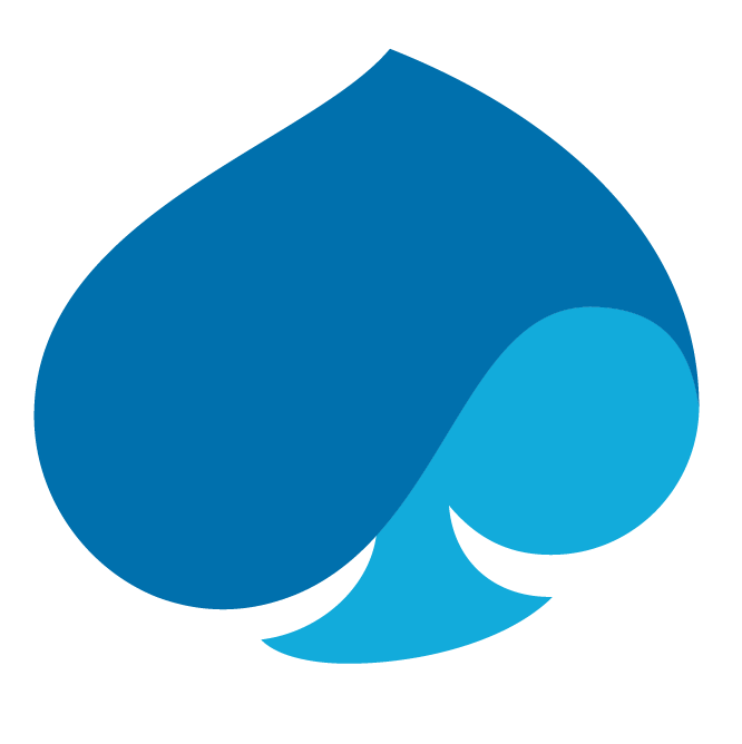 Capgemini Logo